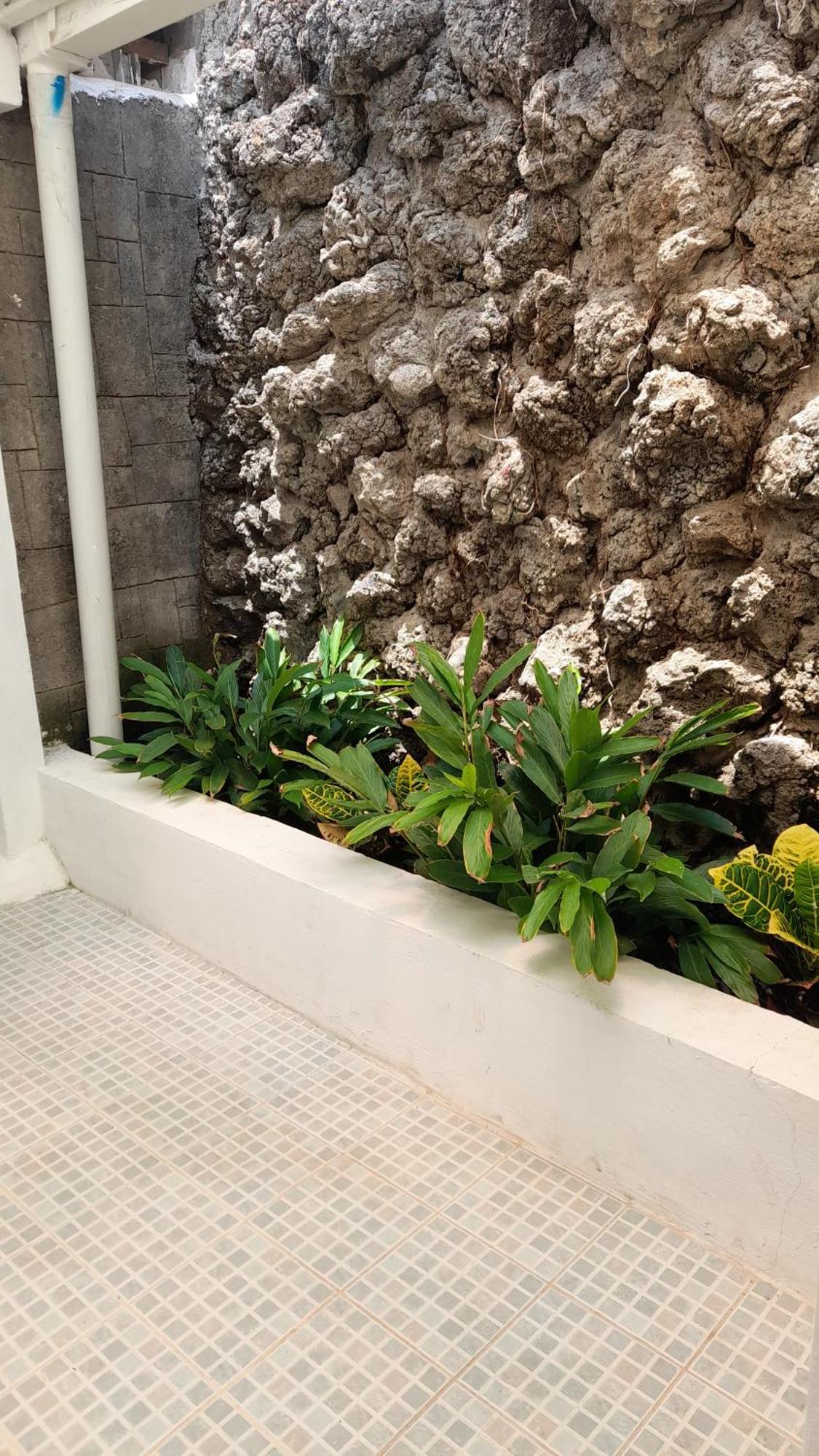 Managua Inn 객실 사진
